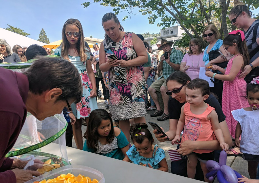 BF Families checking out the Butterflies