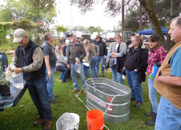 Master Gardener 1