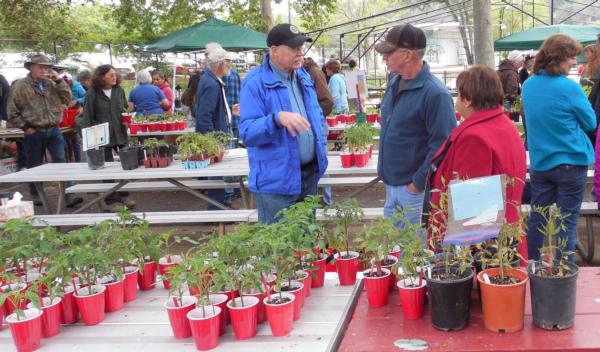 Master Gardener 2