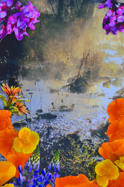 MCAC Saturated Floral
