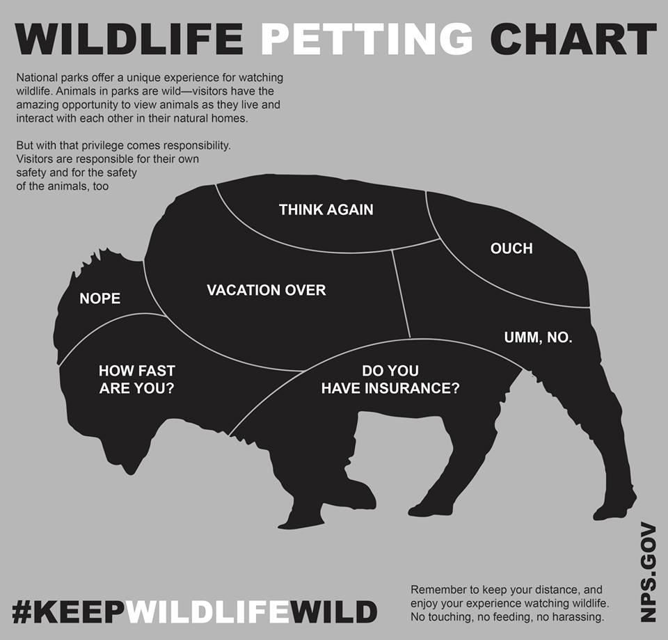 nps keep wildlife wild