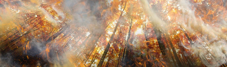 calfire graphic