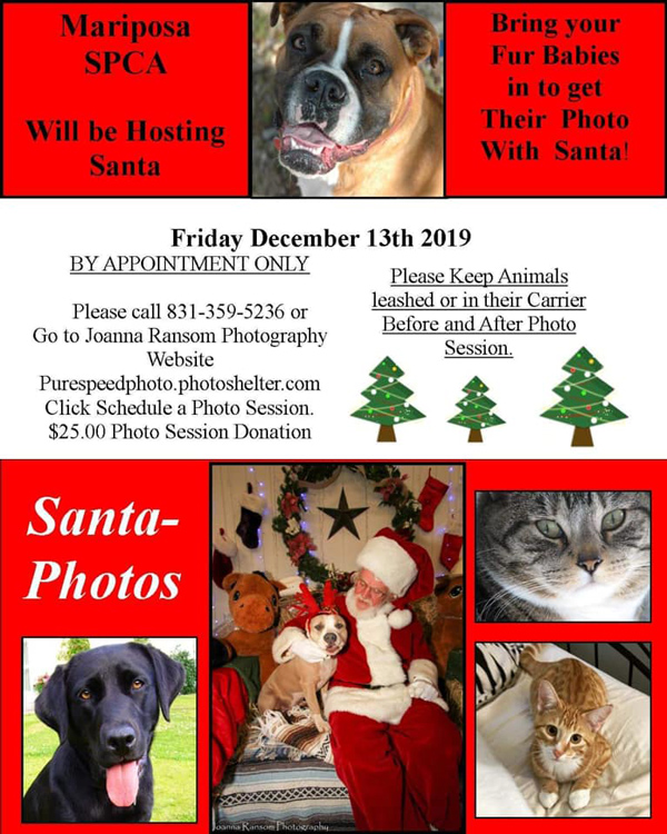 12 13 19 SPCA Christmas photos