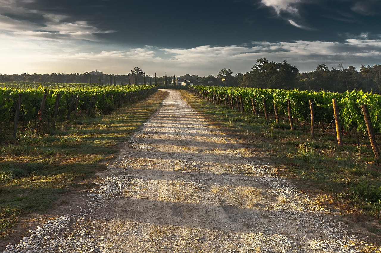 country lane 428039 1280
