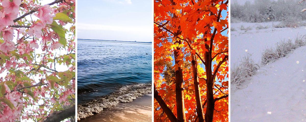 seasons imagery 1200x480