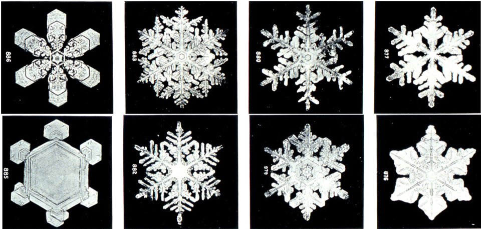 snowflake noaa