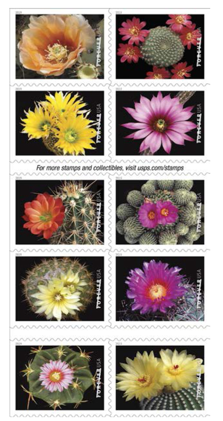 0215 usps releases cactus flowers forever stamps 1