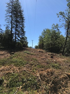 CA CCD Powerline