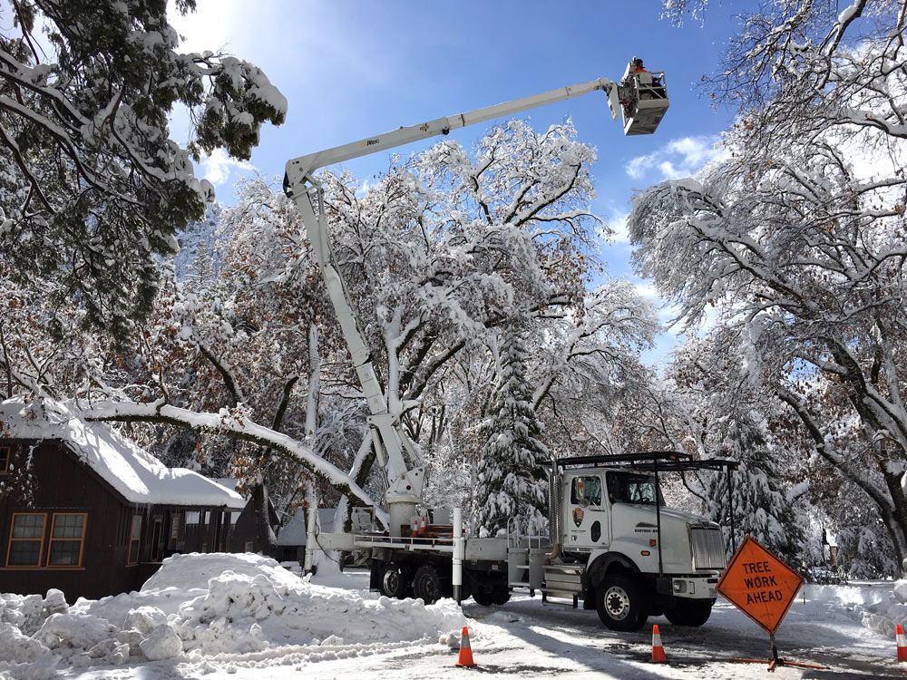 NPS Photo Park Service Employees Working on Storm Clean Up
