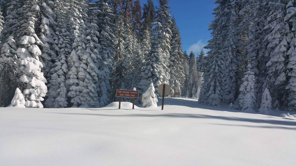 sierra national forest