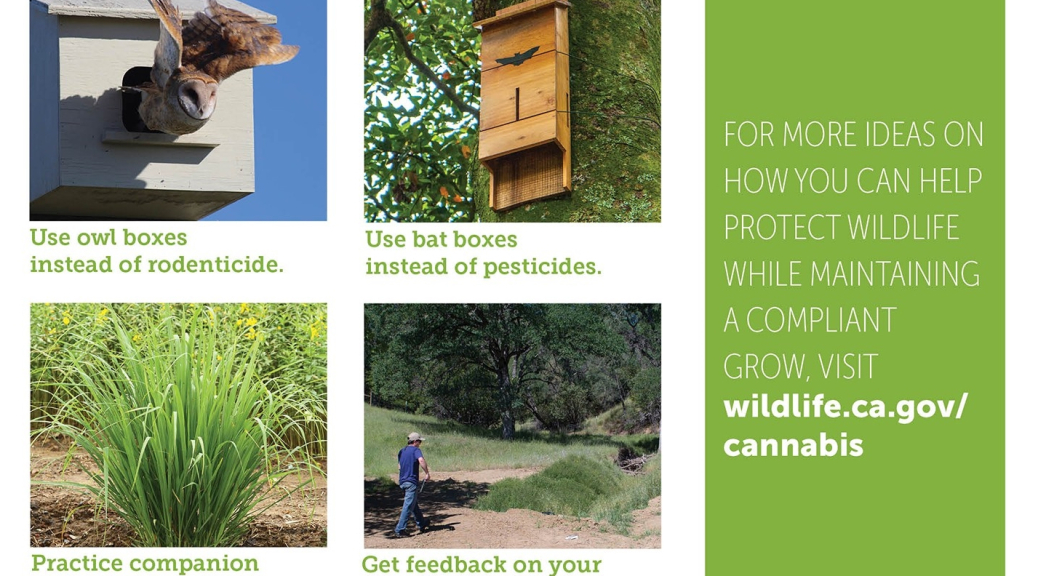4 tips for cultivators reduced size a 2 e1563486575169