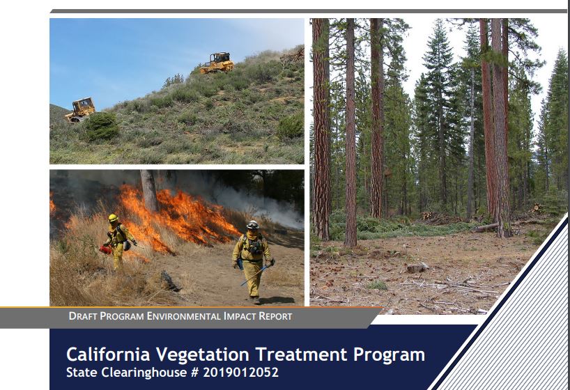 firevegetation