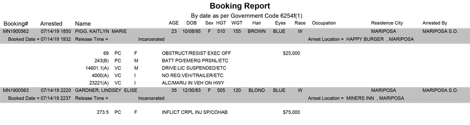 mariposa county booking report for july 14 2019