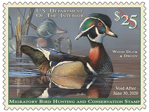 2019 2020FederalDuckStamp580