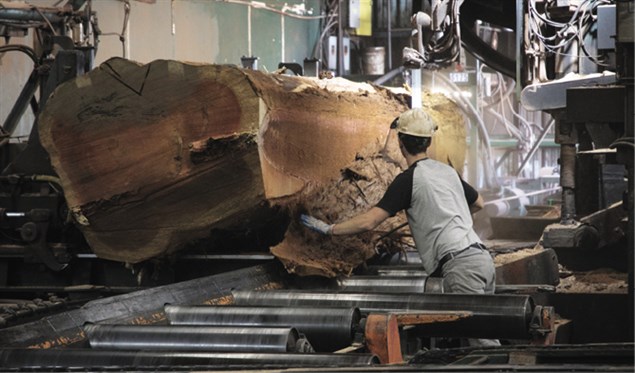 4610 p3 20181029BigCreekLumber RG 0642
