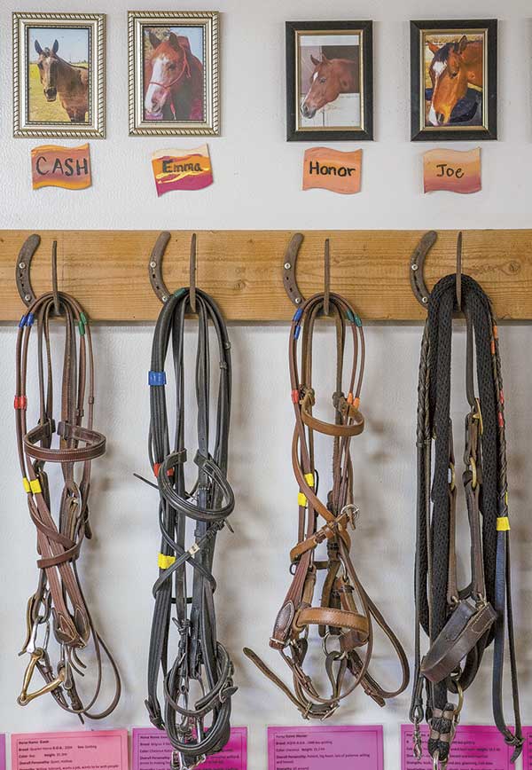 HappyHorses600