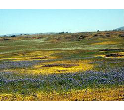 NorthTableMountainER