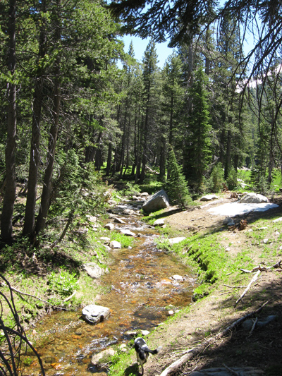 mountain stream 400
