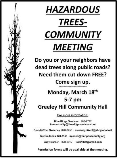 tree flyer web