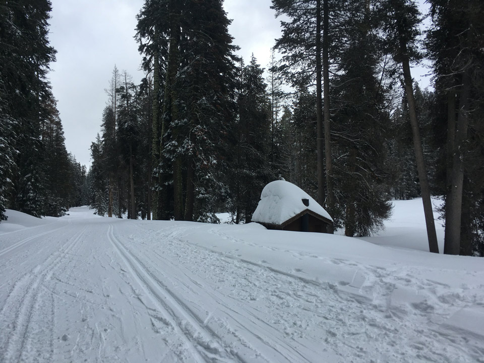 yosemite NPS Photo Glacier Point Road Ski Trail