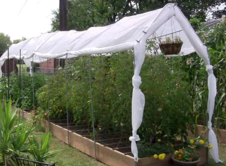 Tomato Shade Cloth