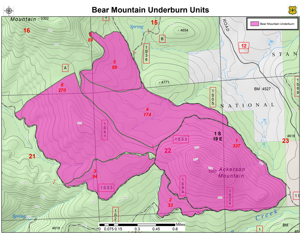 bear mountain