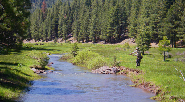 lassen creek 21