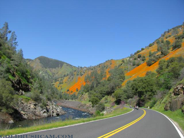 merced river poppyhutch sierra sun times
