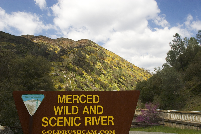 merced river poppy credit sierra sun times