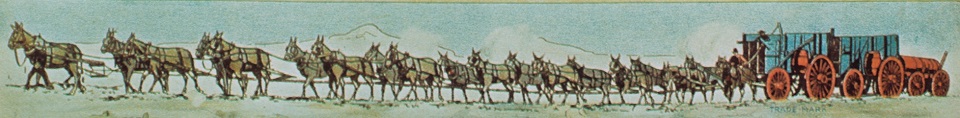 DEVA 20MuleTeamBorax 001 960 pixels