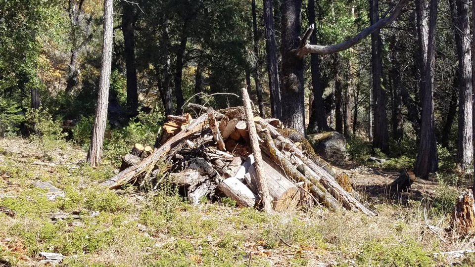 Ferguson Piles Oct 2019 2 