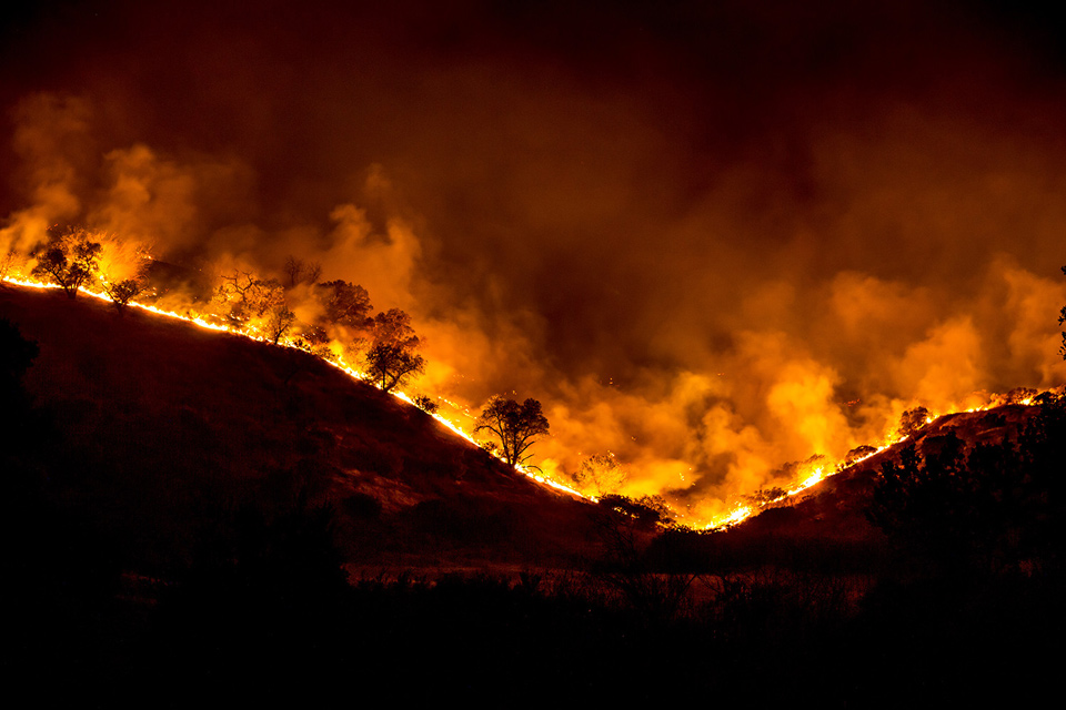 wildfirepoll