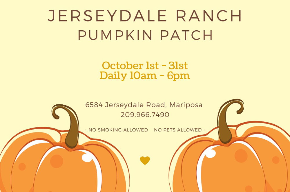 2019 Jerseydale Ranch flyer