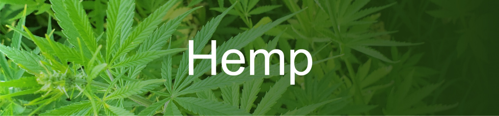 Hemp usda