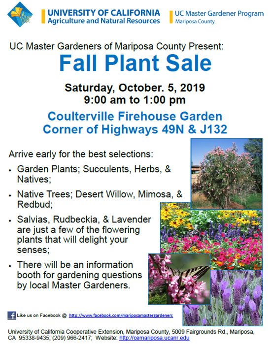 10 5 19 MG plant sale