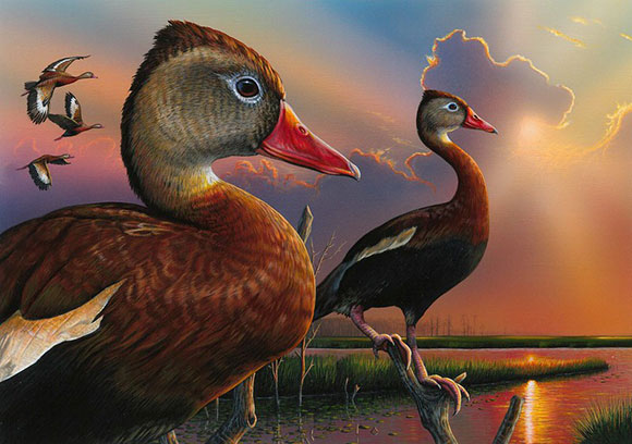 2020 2021 duck stamp winner