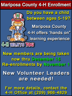 4H Enrollment 2019