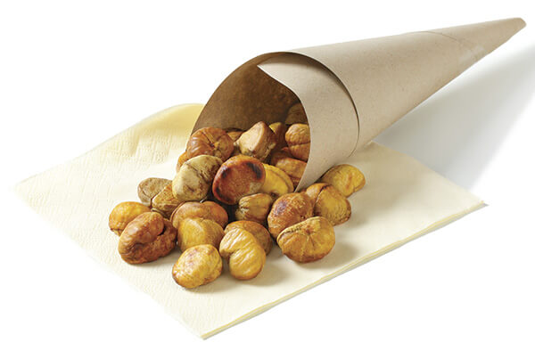 ChestnutCone600