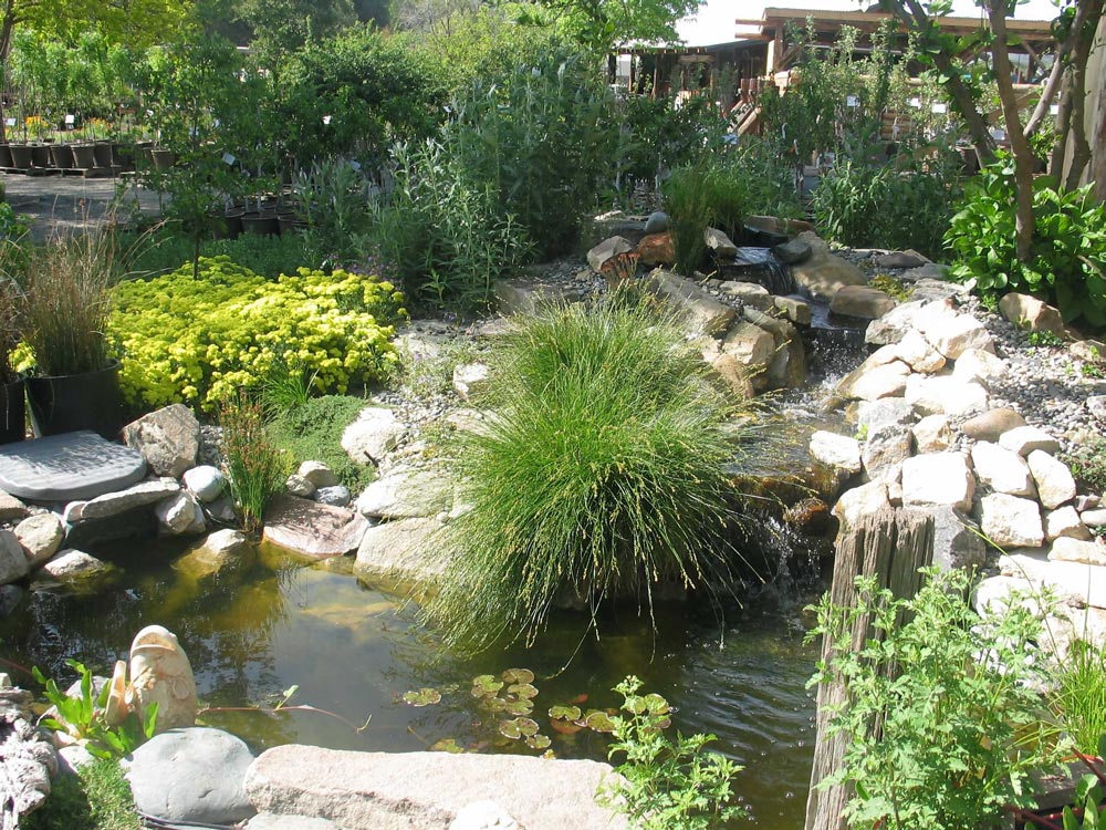 UC Master Gardener Intermountain Nursery