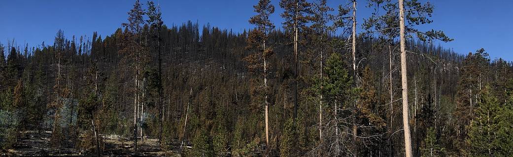 idaho img 7943
