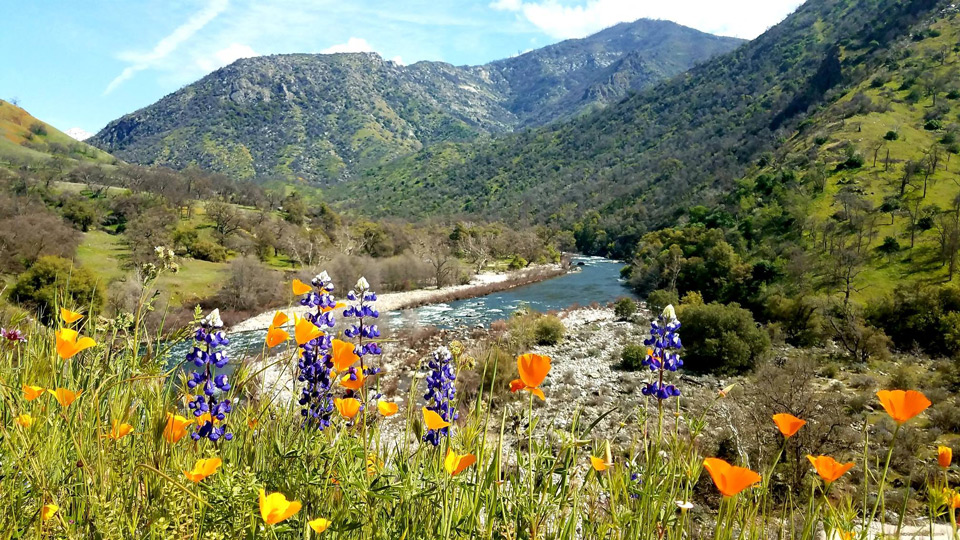 sierra national forest credit usda