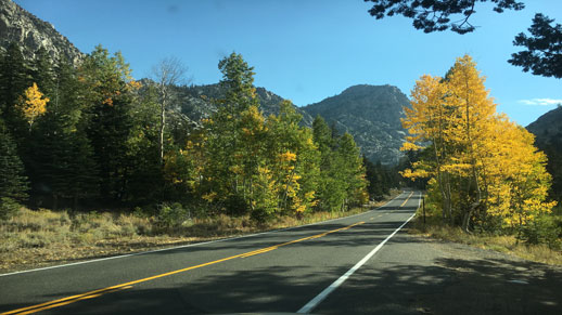 stanislaus national forest fseprd520466 credit forest service