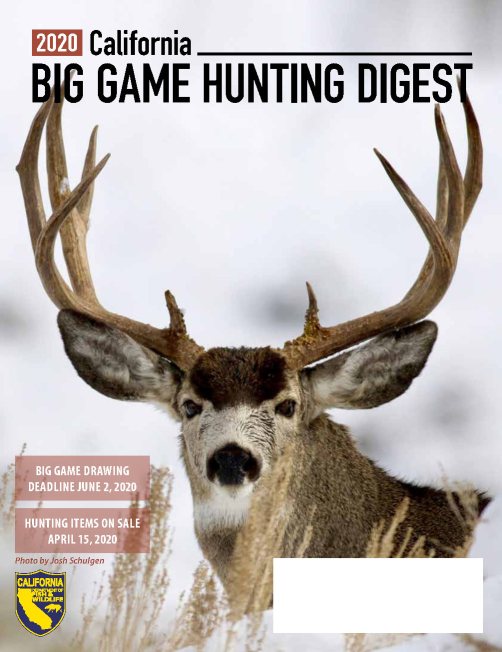2020 big game book final print cover