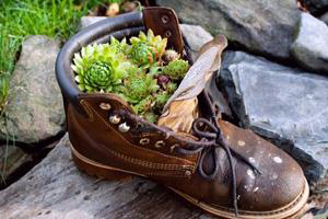 MG Container Gardening by Gail Mason 2