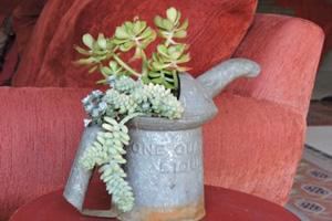 MG Container Gardening by Gail Mason
