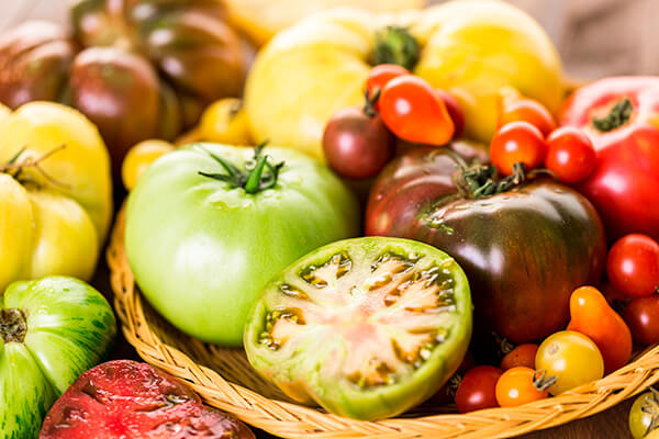 GardeningQAHeirloomTom600