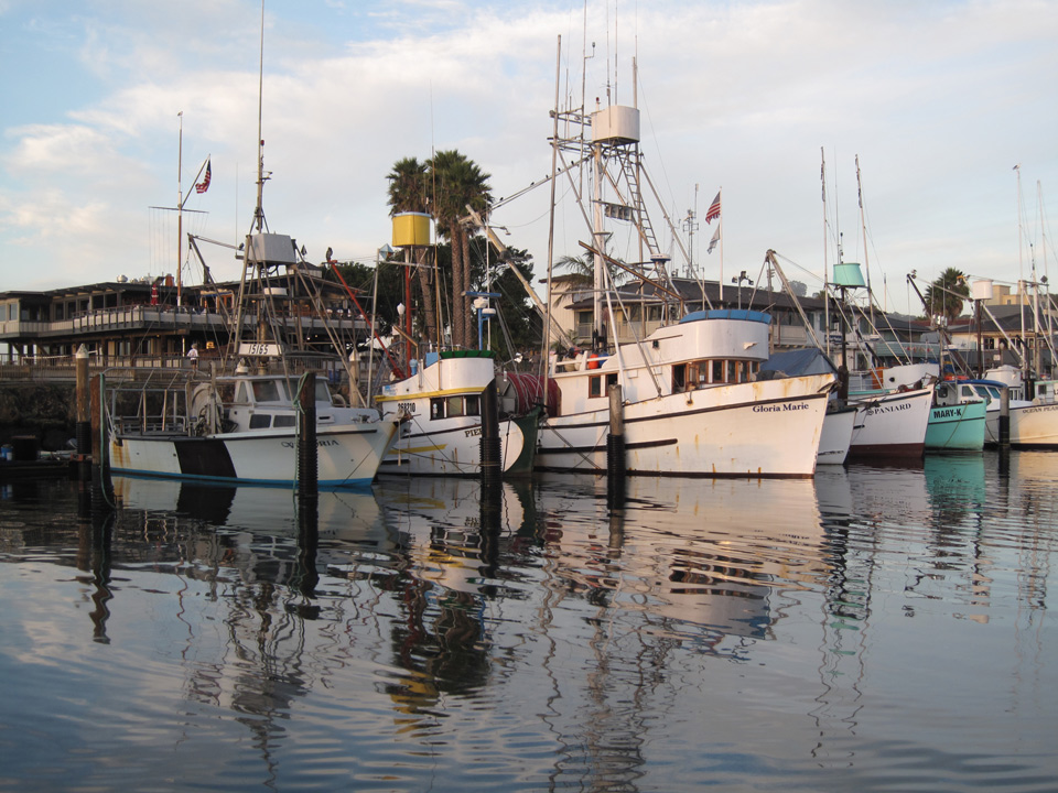 sb harborboats stein 20111130 1