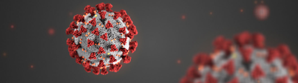 coronavirus cdc