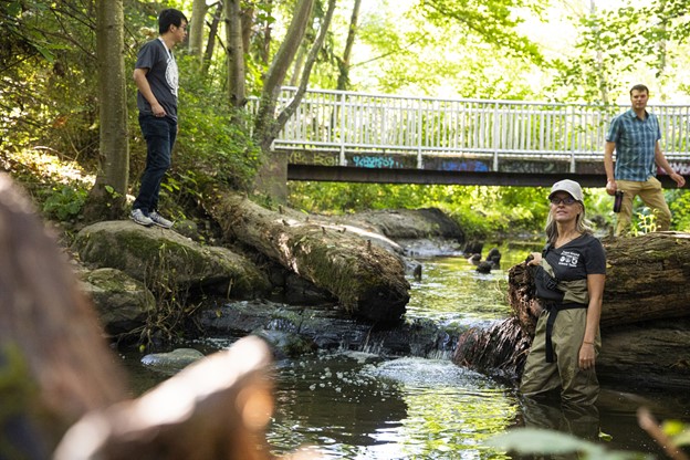 RN salmon tires streams