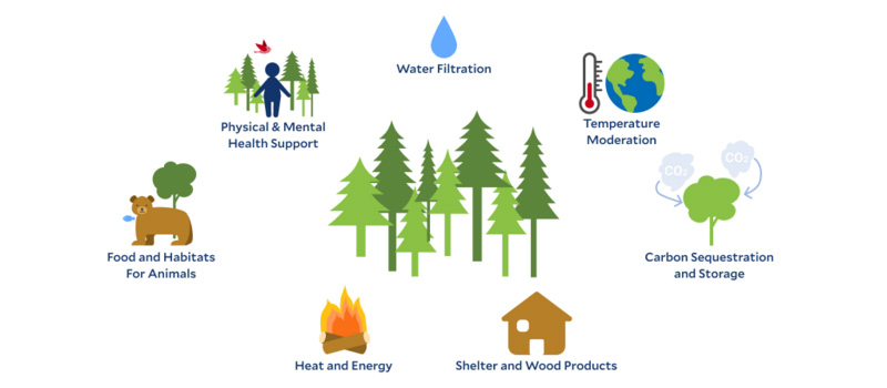 healthyforests info 800x350